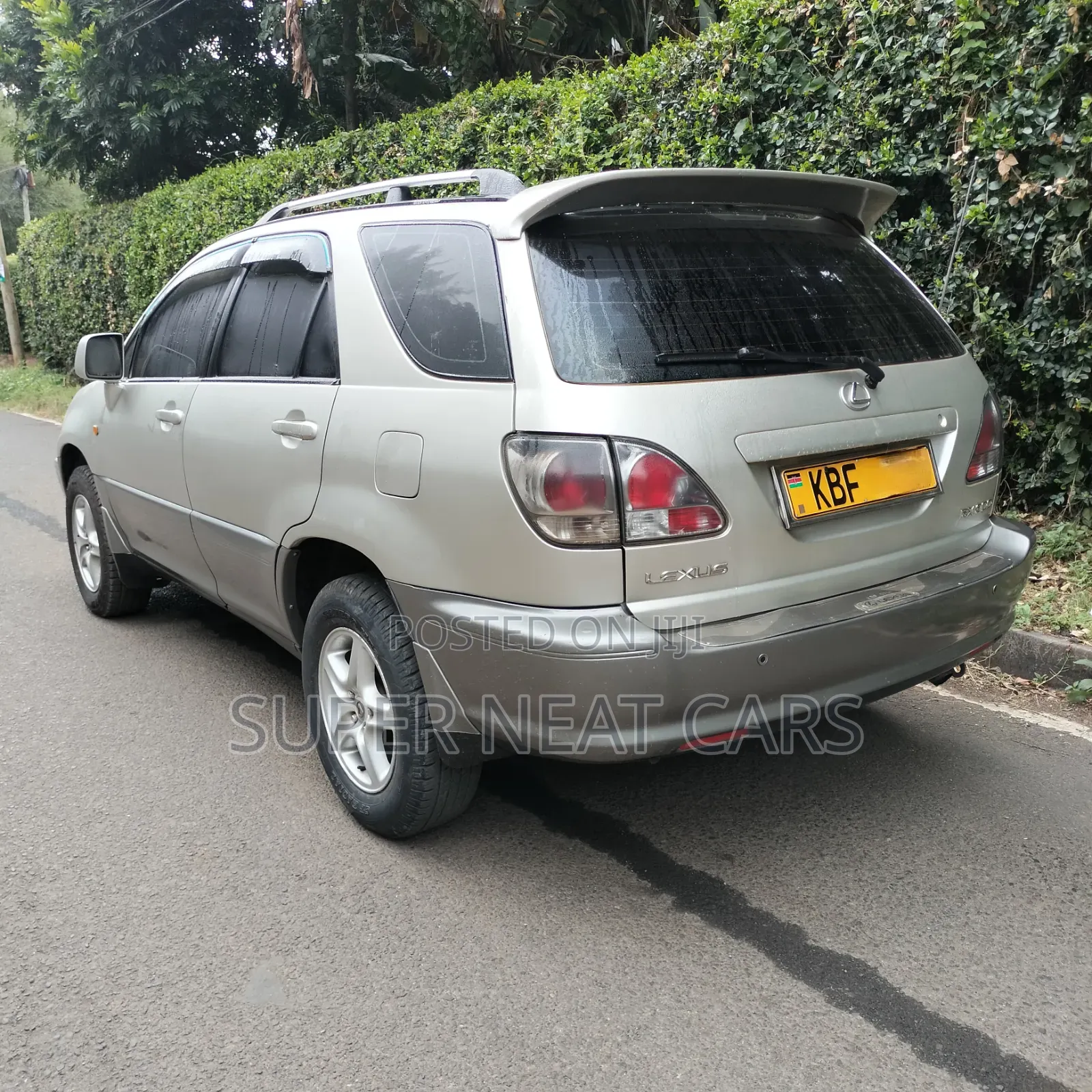 Lexus RX 2002 Silver