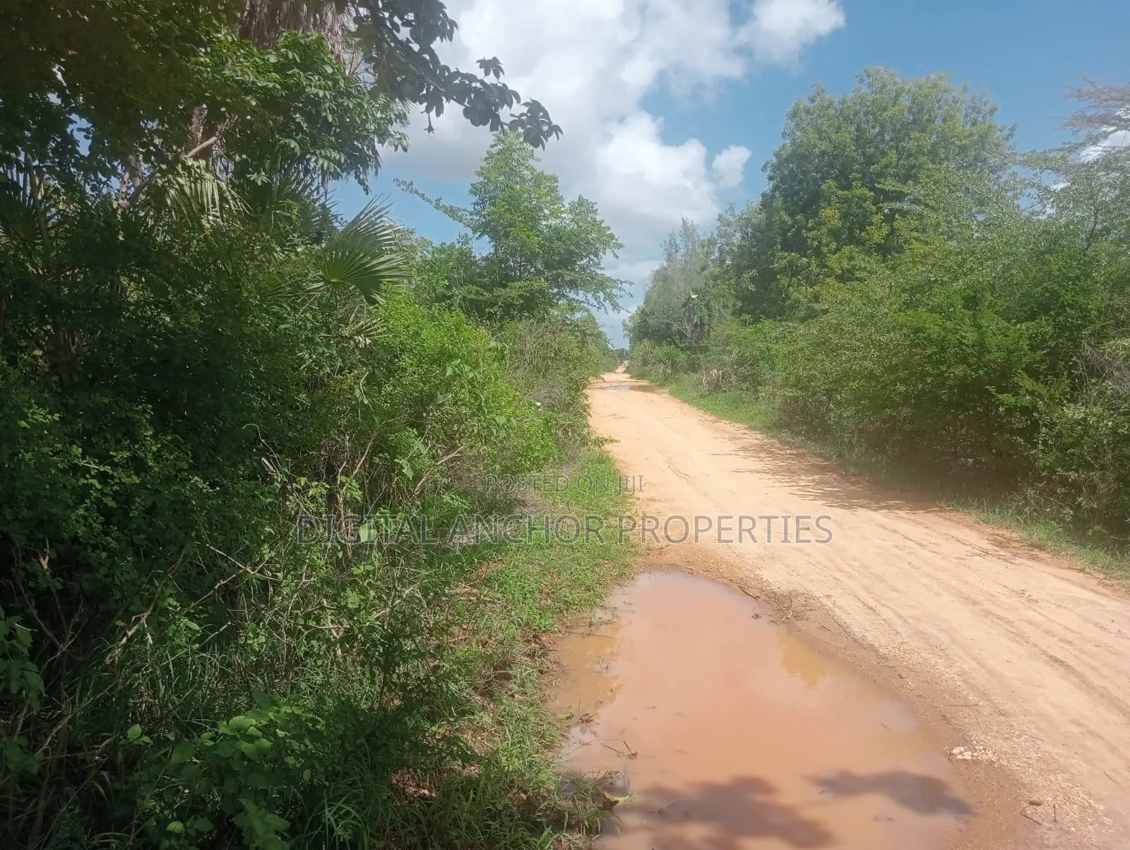 Sale 5 Acre Prime Land Lamu