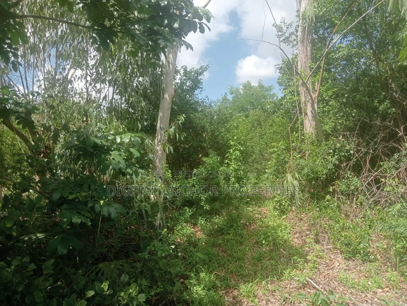 Sale 5 Acre Prime Land Lamu