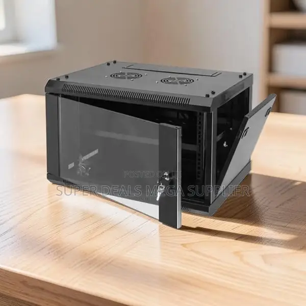 Stylish Smooth Paint Finish 9u Wall Mount Data Cabinet