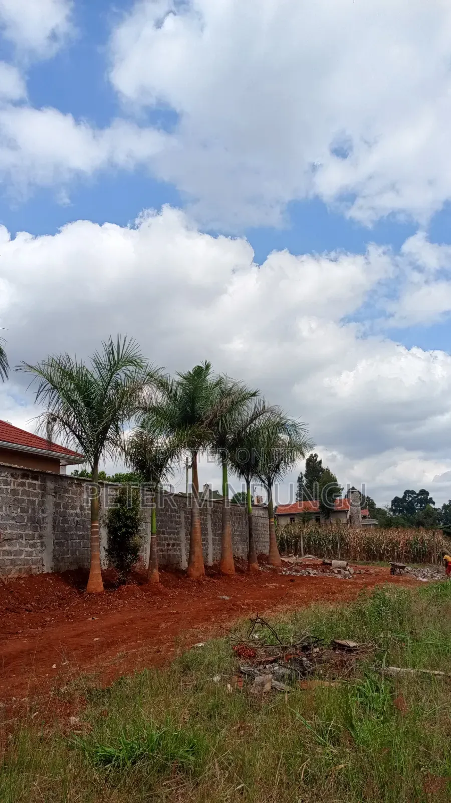 Muthithi-Njathaini Rd, Valley View Estate Opposite Kist, 1/2 Acre