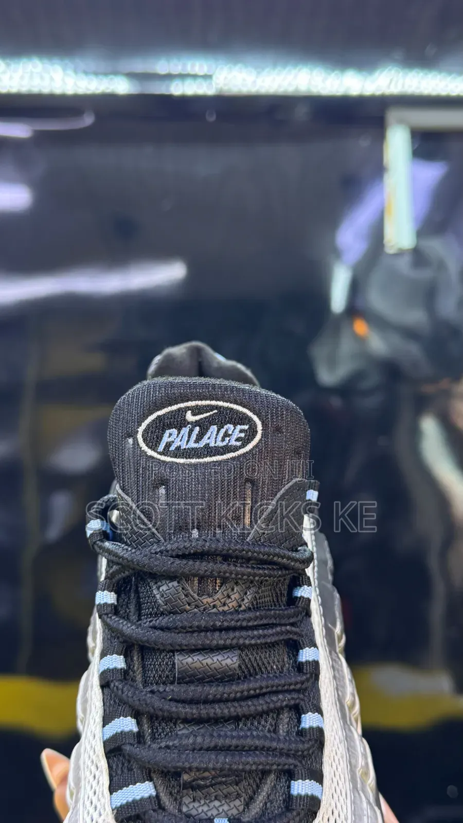 Palace  Airmax 95 
“ Big Bubble ”