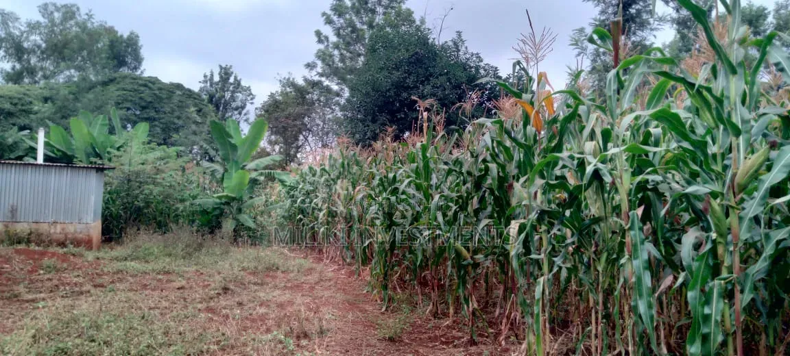 2 Acres in Sale at Muri -Kirinyaga