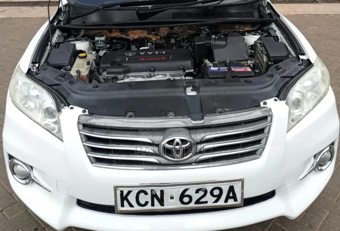 Toyota Vanguard 2010 White