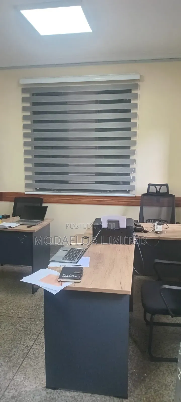 High-Quality Zebra Window Blinds at Great Prices