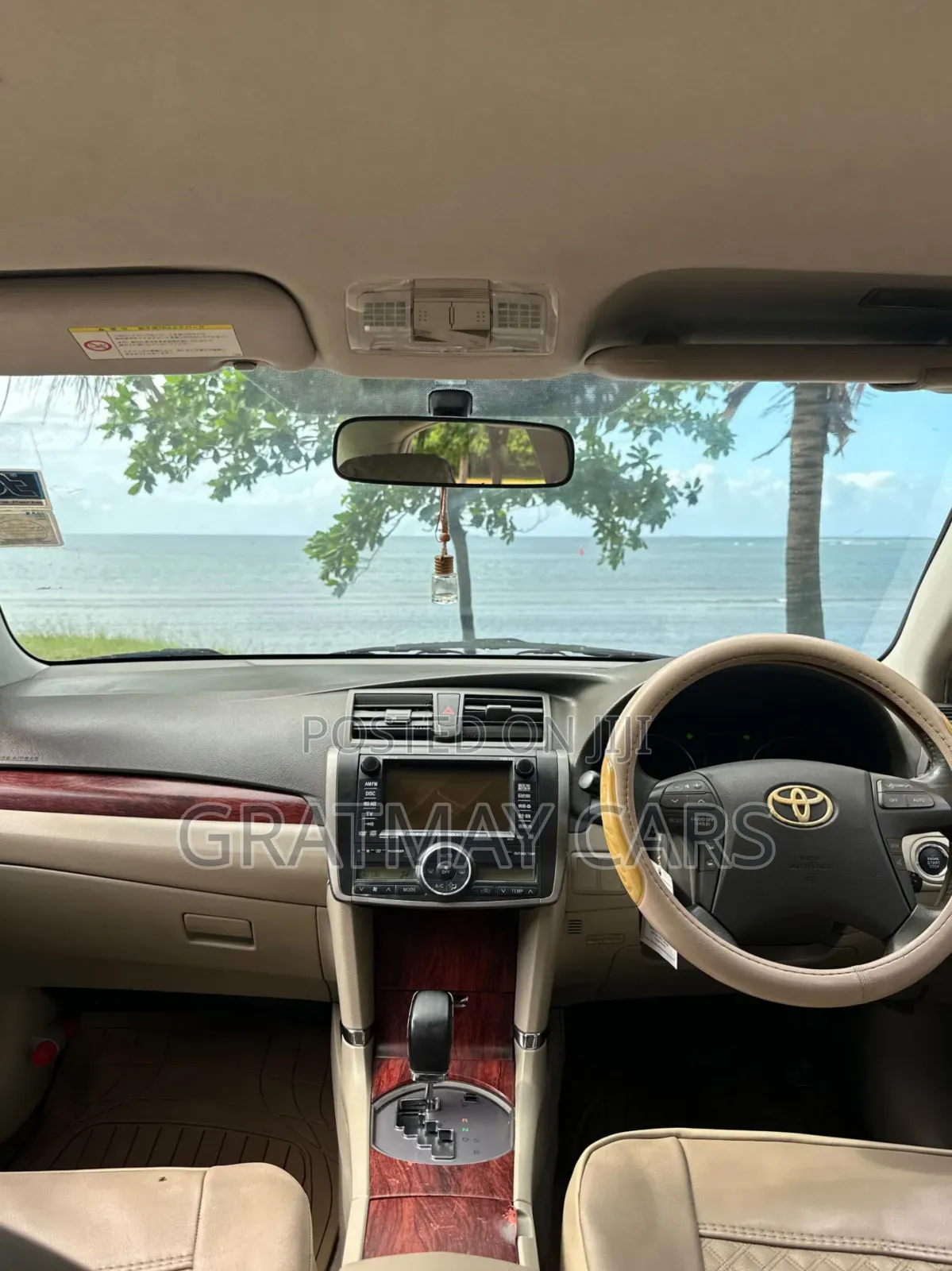 Toyota Premio 2009 Brown