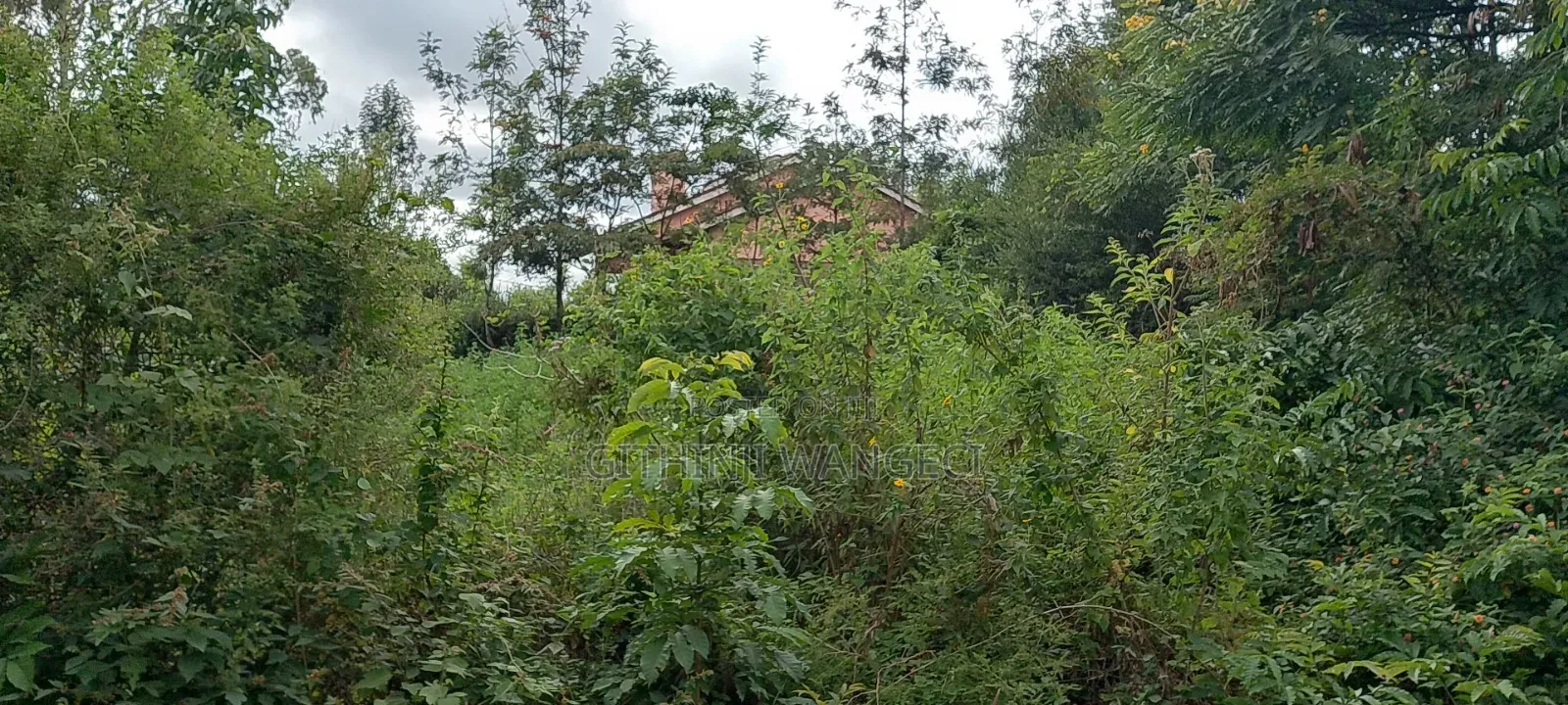 Prime Plot for Sale in Ngong Vet 