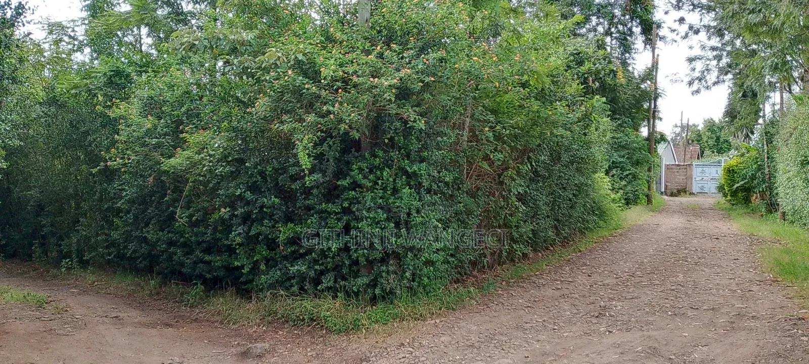 Prime Plot for Sale in Ngong Vet 