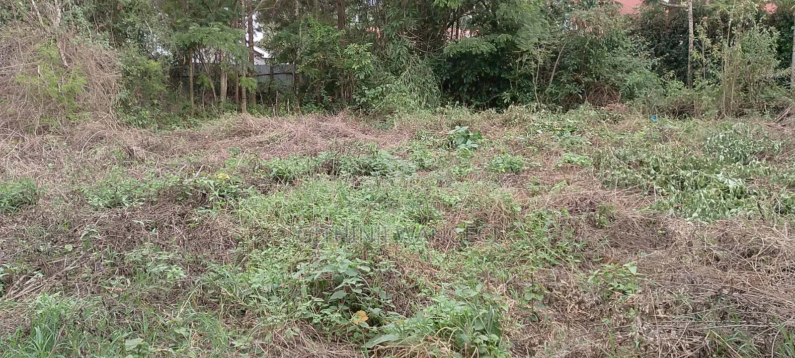 Prime Plot for Sale in Ngong Vet 