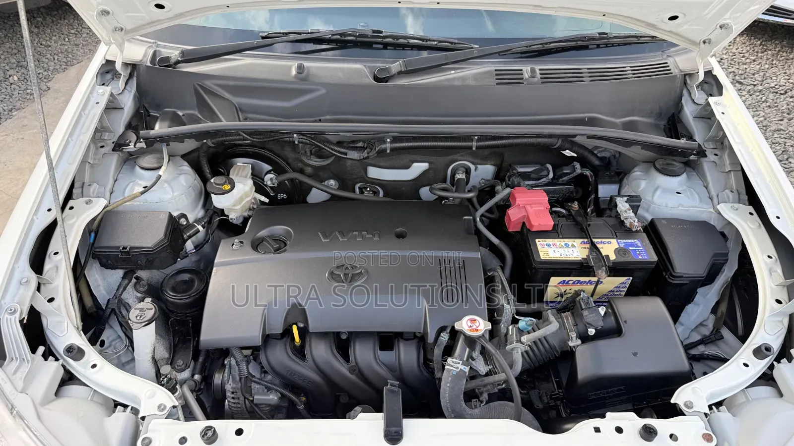 Toyota Succeed 2019 White