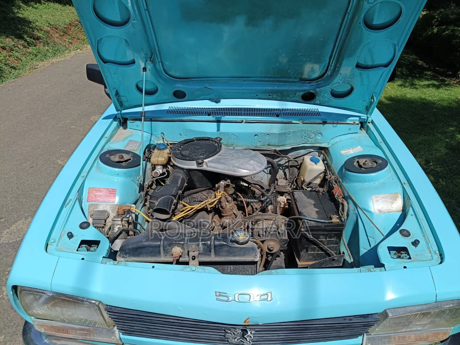 Peugeot 504 1996 Blue
