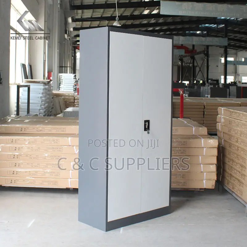 2-Door Metallic Gray Filling Cabinet