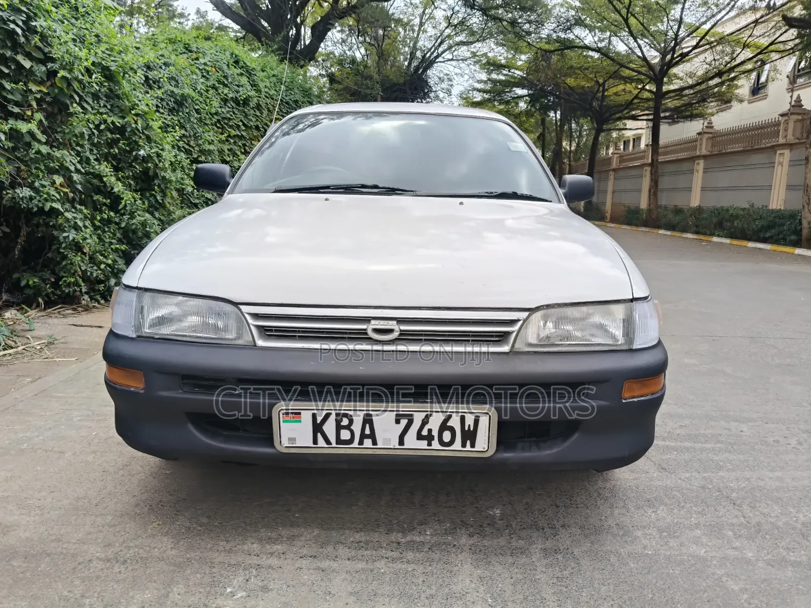 Toyota Corolla 2000 White