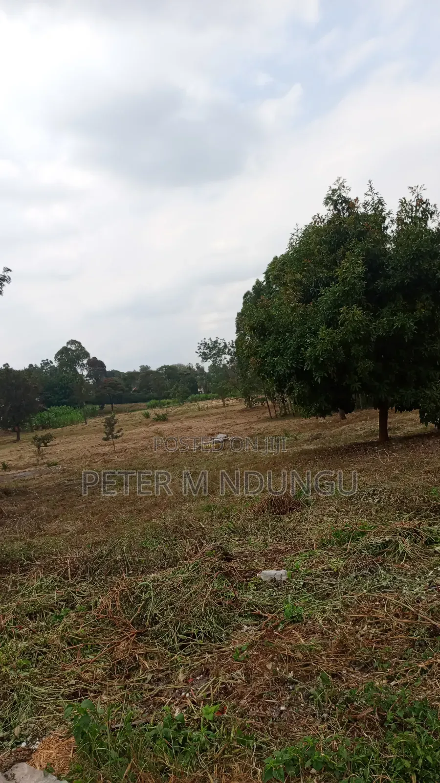 Ridgeways- Kiambu Road; Prime Commercial 2 Acres , Tiitle