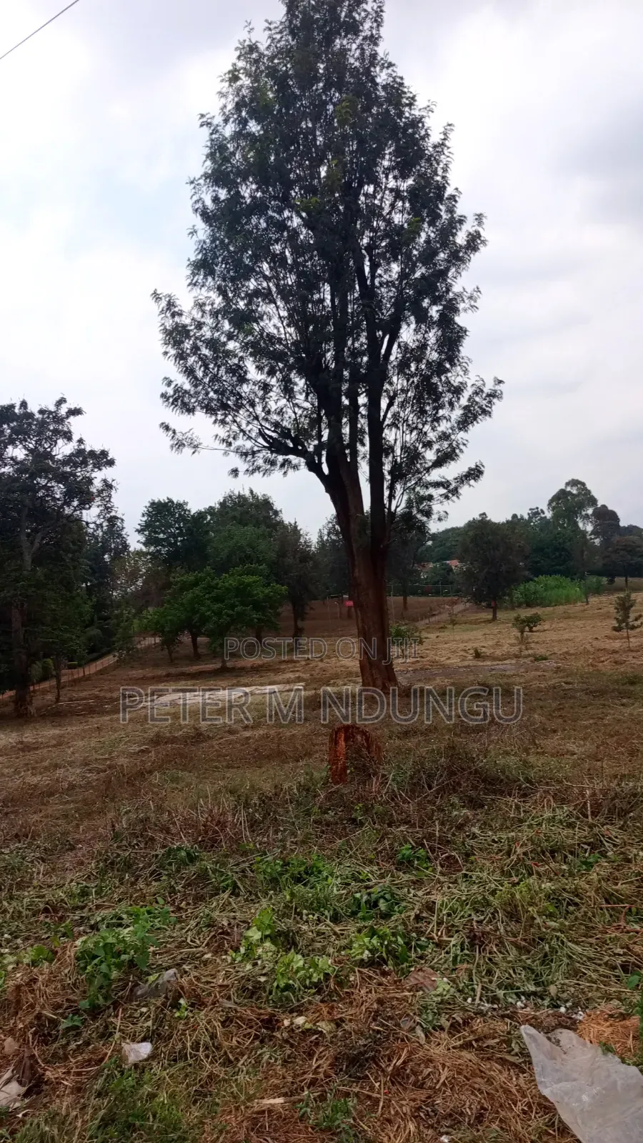 Ridgeways- Kiambu Road; Prime Commercial 2 Acres , Tiitle
