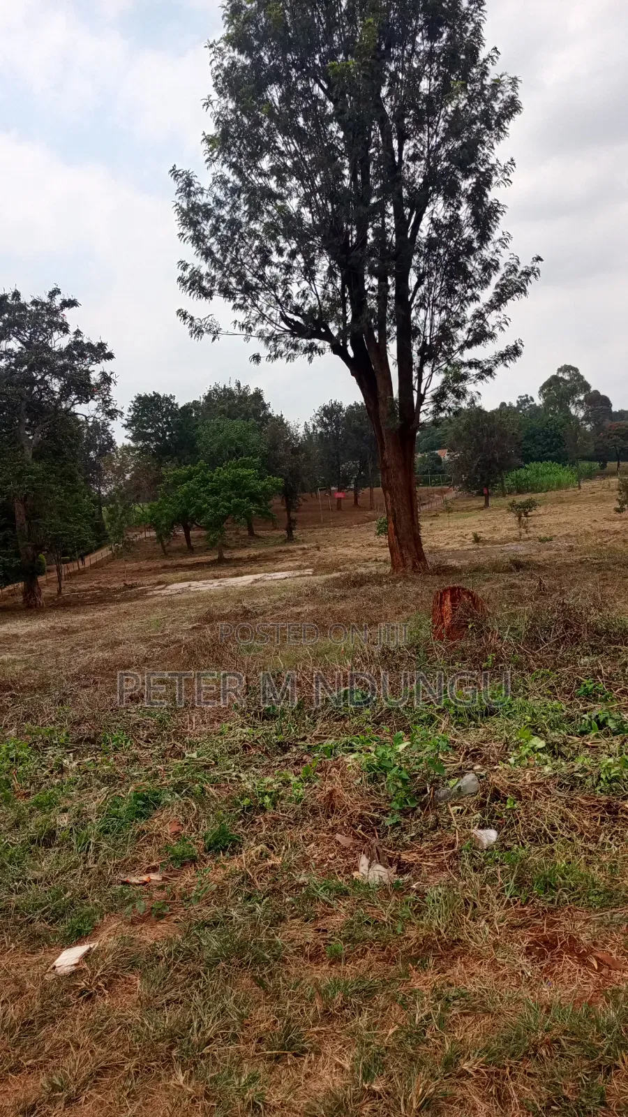 Ridgeways- Kiambu Road; Prime Commercial 2 Acres , Tiitle