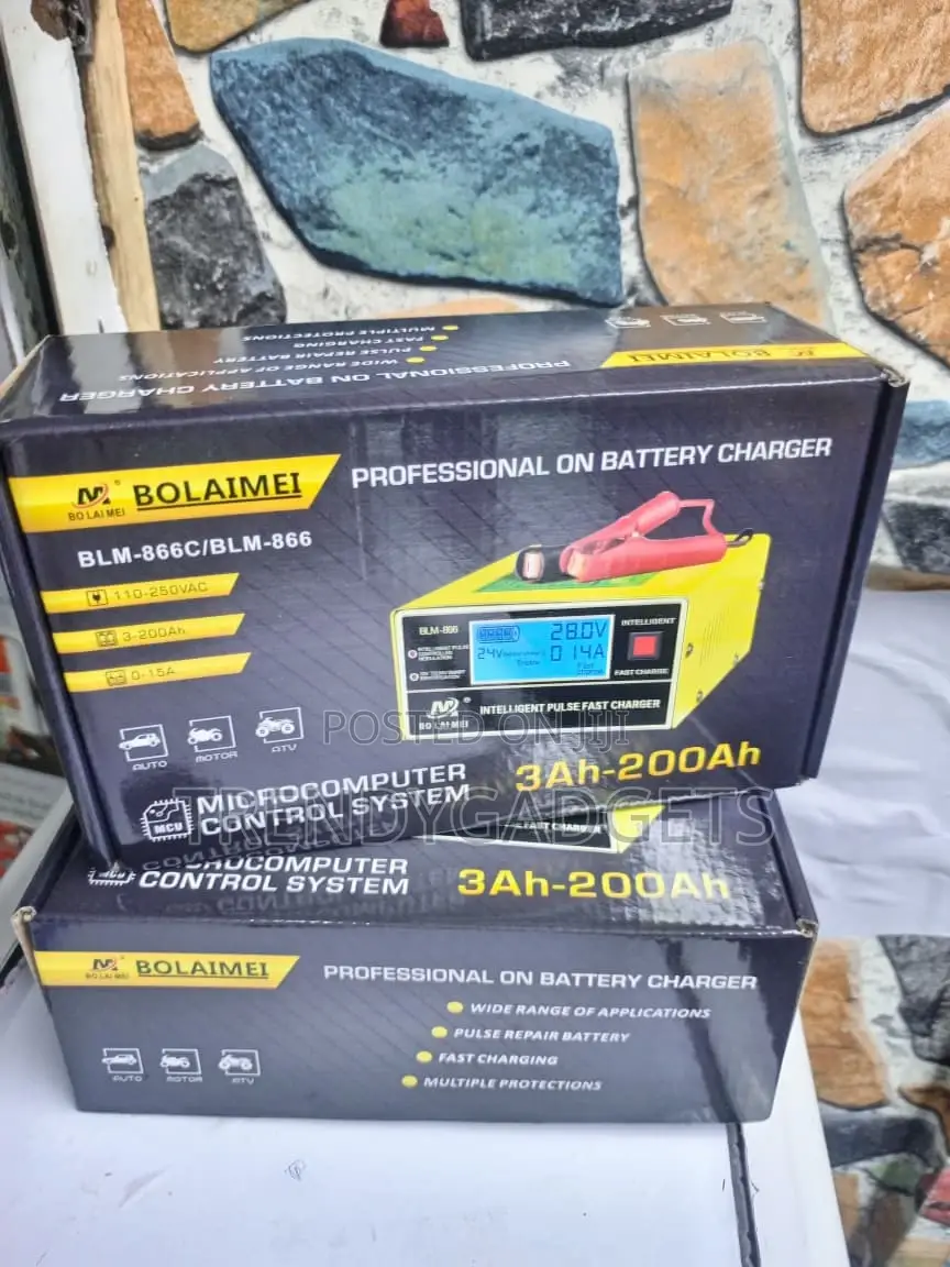 Bolaimei Heavy Duty 12v/24v Battery Charger
