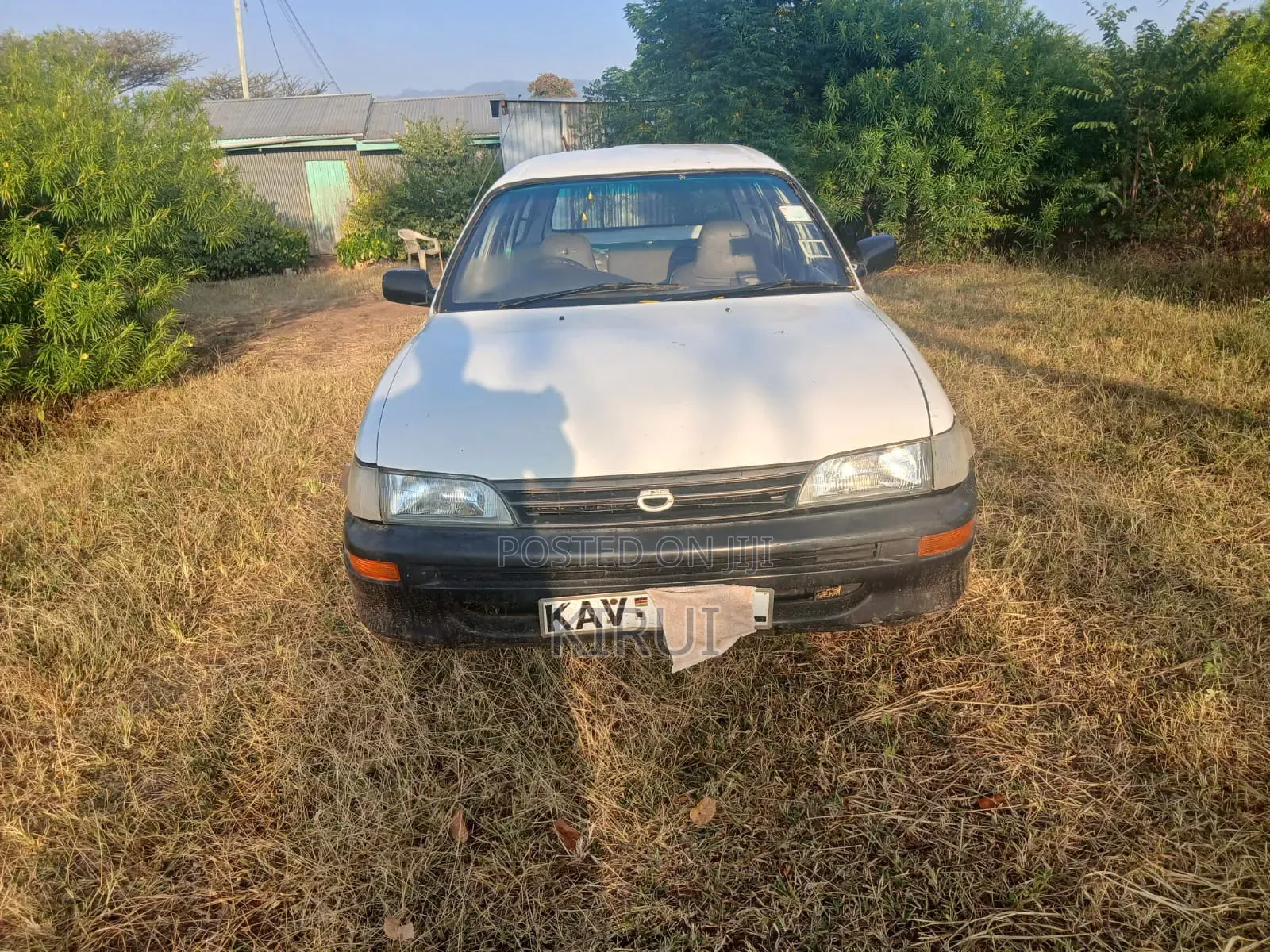 Toyota Corolla 2002 White