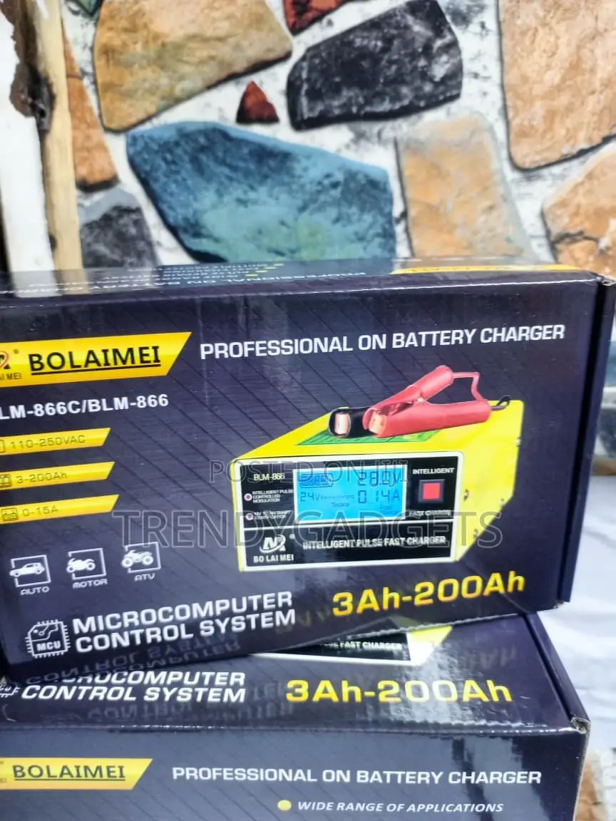 Bolaimei Battery Charger With Pulse Repair Technology