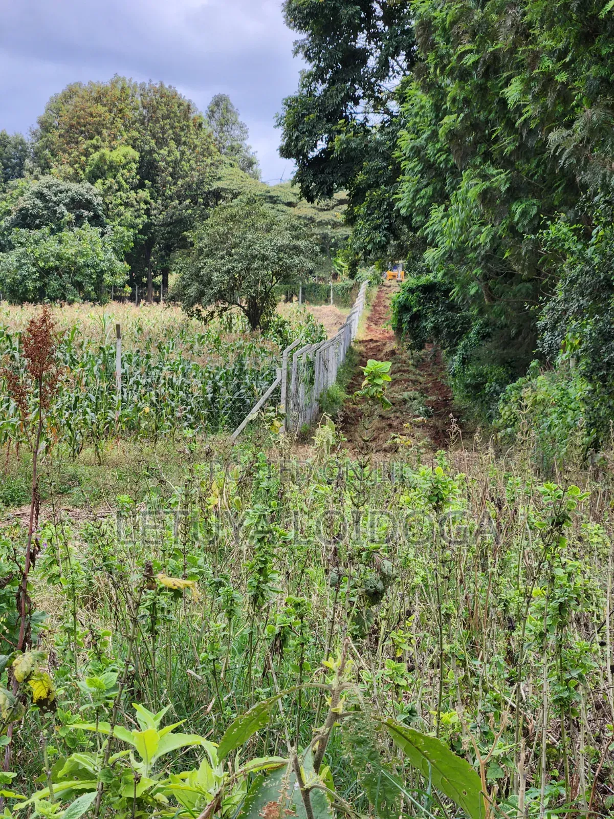 Prime Residential 1-Acre Kahara Road Ngong