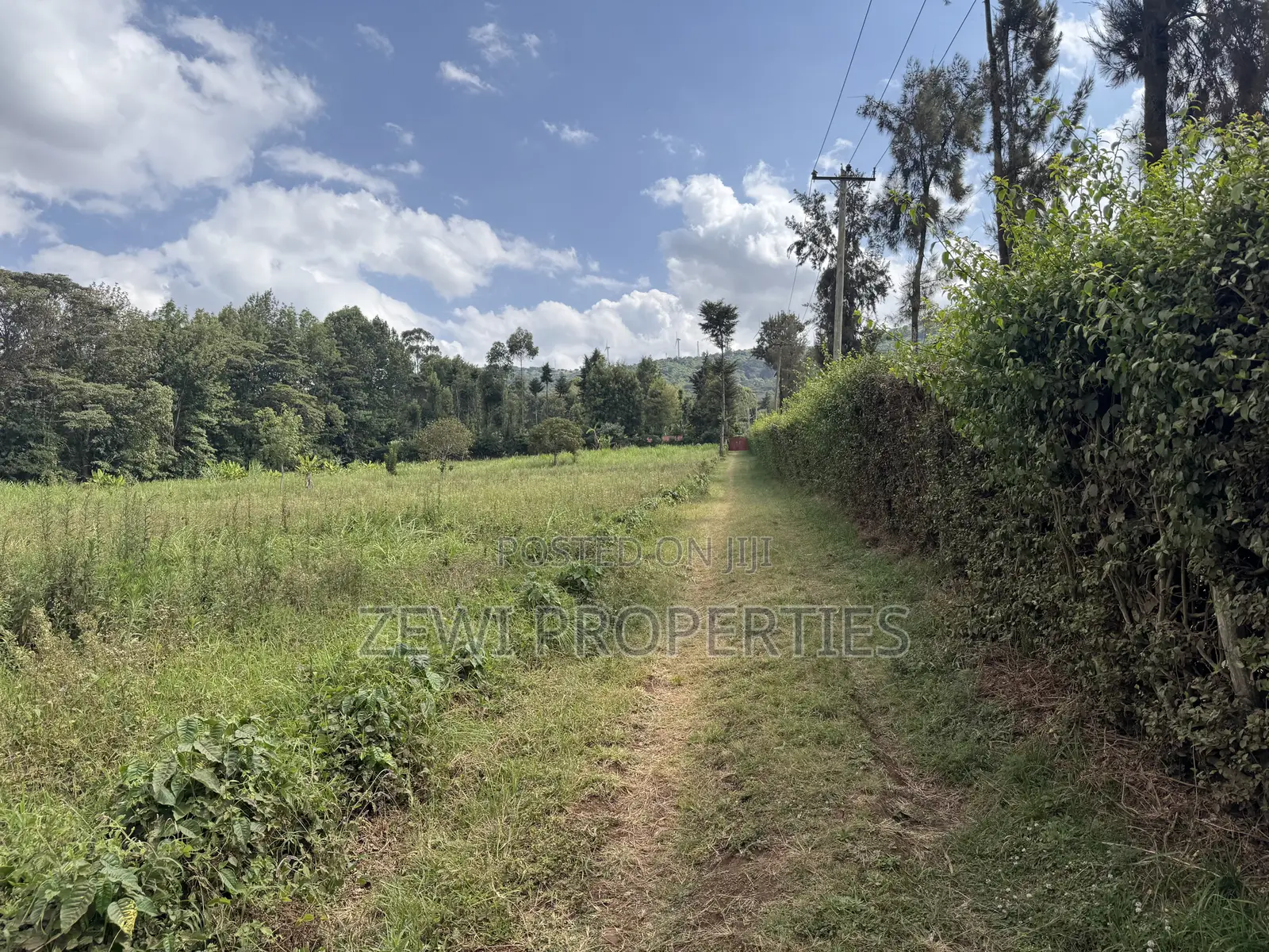 Quarter Acre Bondeni