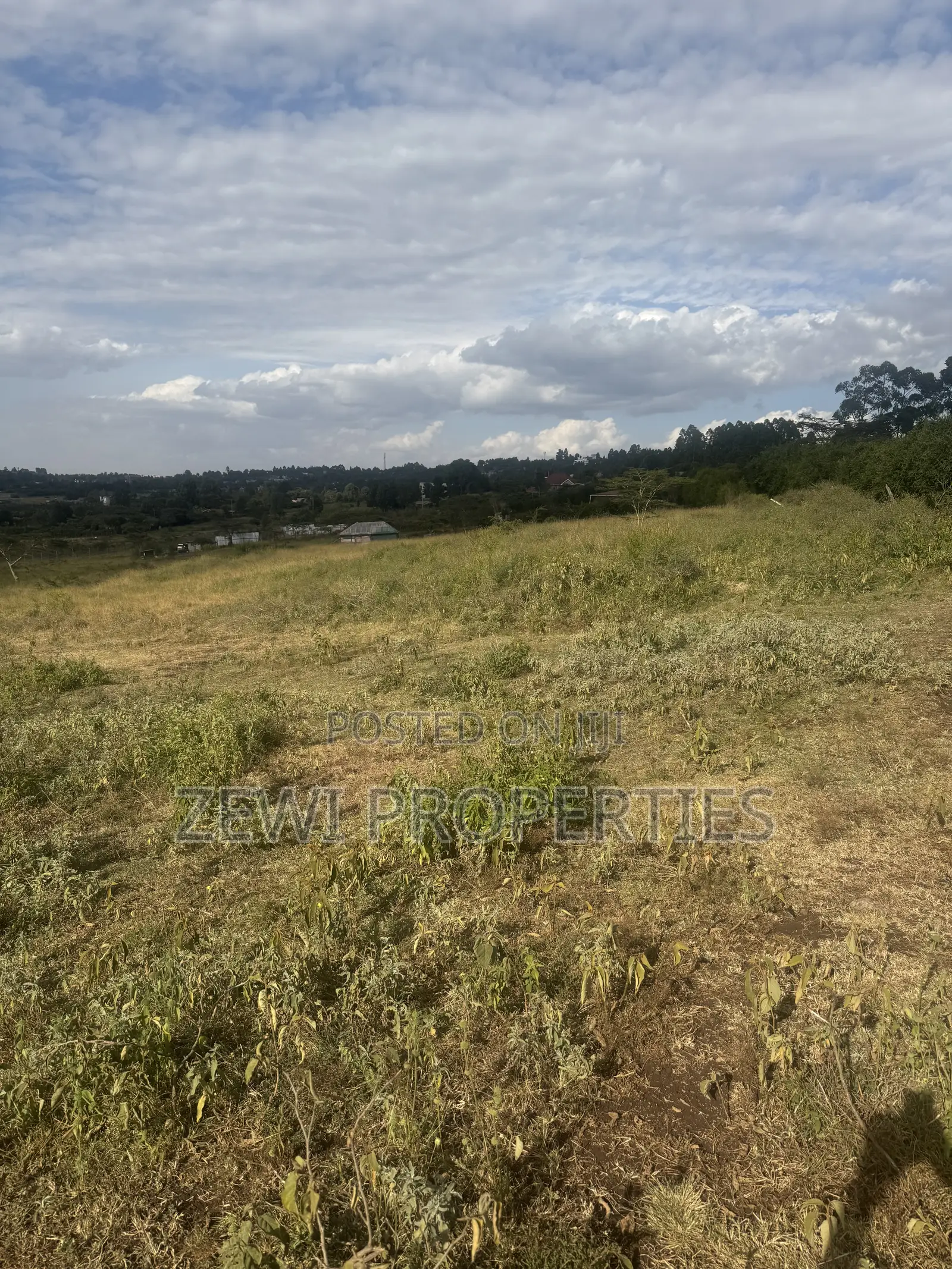 6 Acres Kibiku