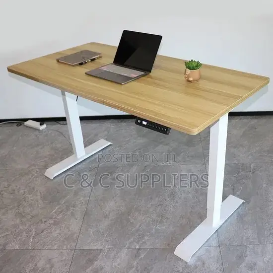 Modern Electric Sit Stand Desk-1200mm