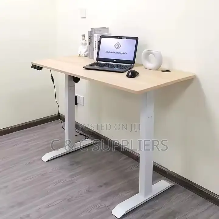 Modern Electric Sit Stand Desk-1200mm