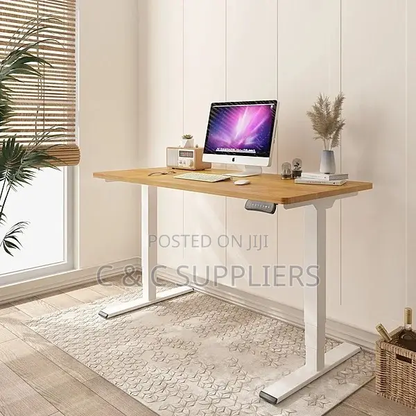 Modern Electric Sit Stand Desk-1200mm