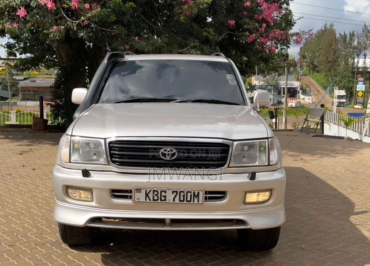 Toyota Land Cruiser 2003 Brown