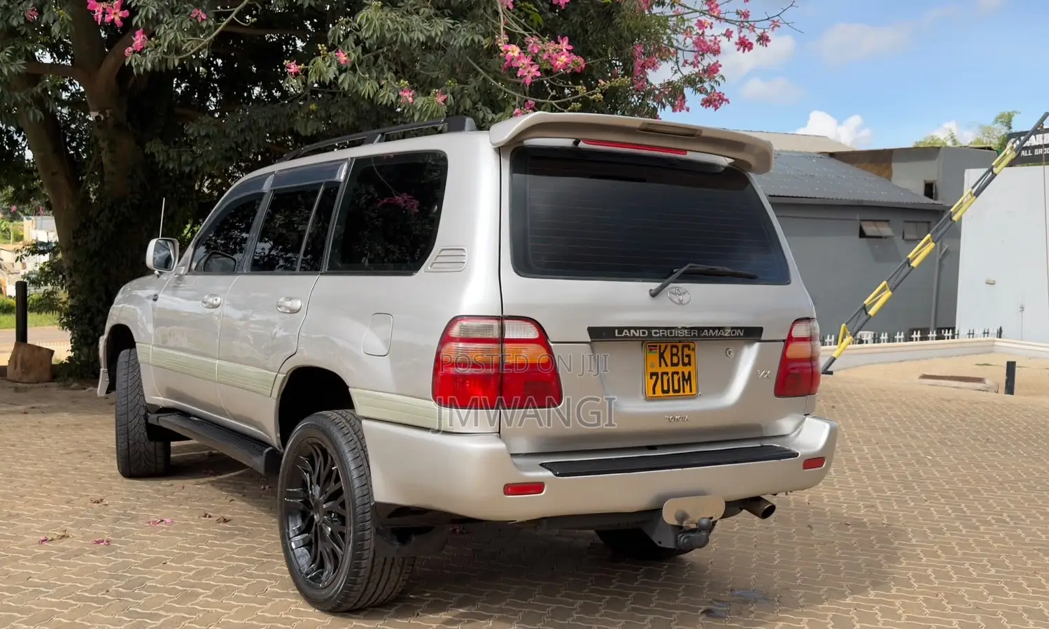 Toyota Land Cruiser 2003 Brown