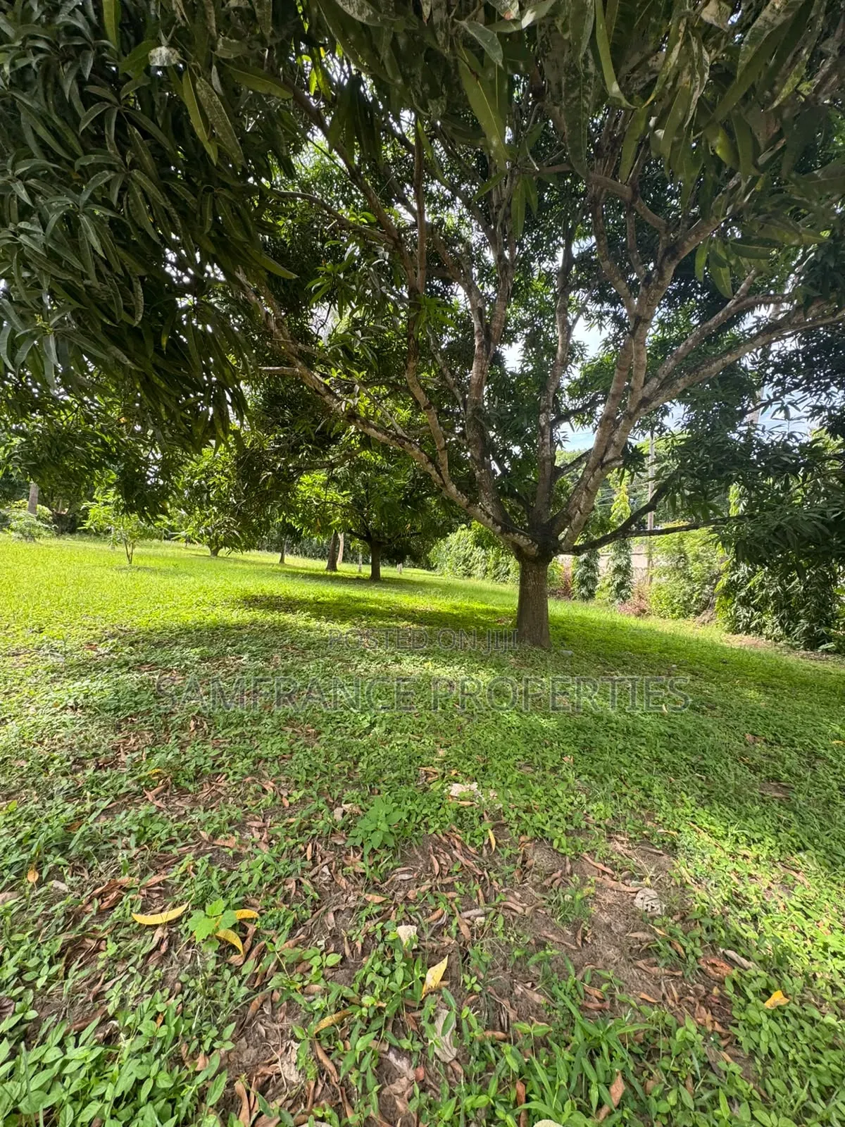 Very Prime Land on Sale in Kanamai Mtwapa.
