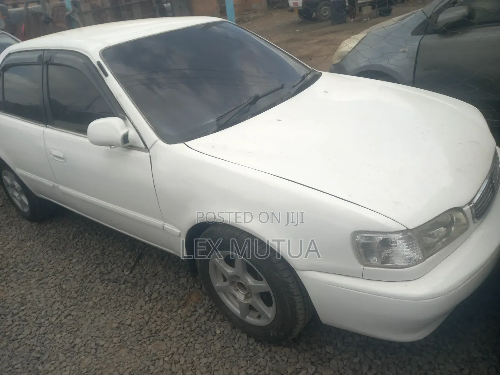 Toyota Corolla 1998 White