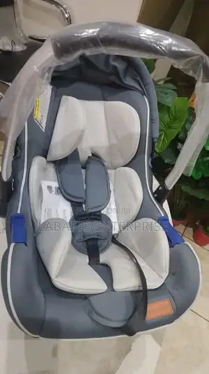 2-in-1 Baby Carry Cot Car Seat