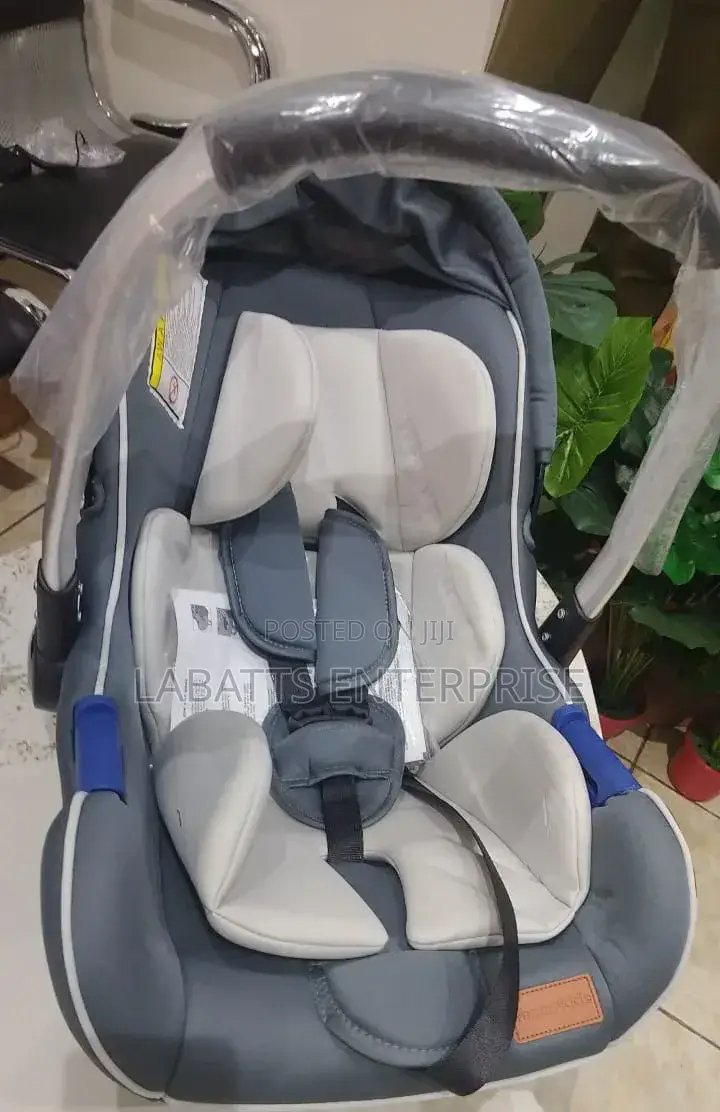 2-in-1 Baby Carry Cot Car Seat