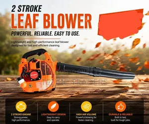 Premier 2 Stroke Leaf Blower