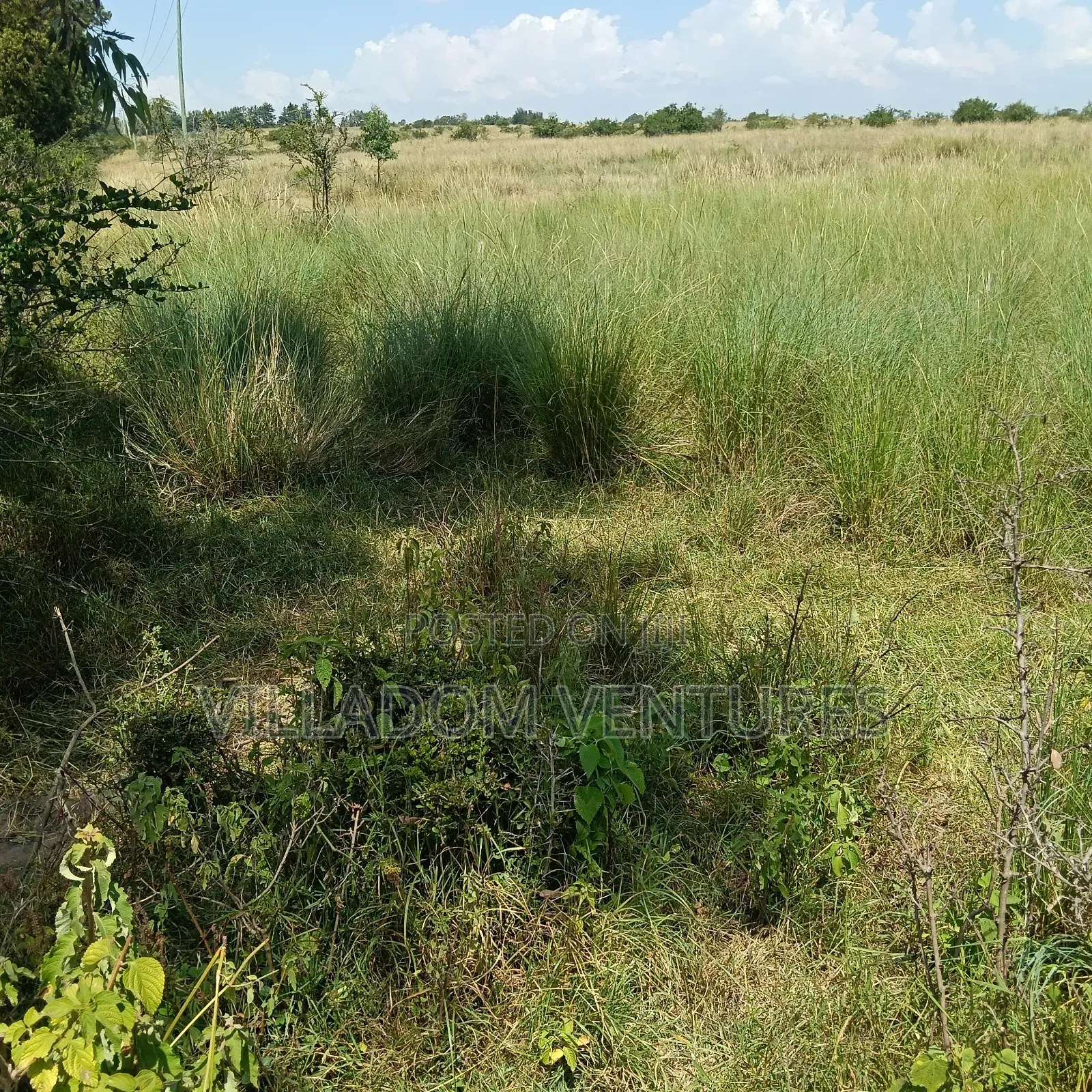 For Sale 32 Acres Near Greensteds School