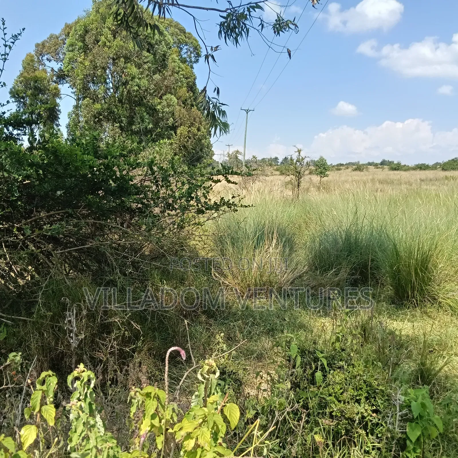 For Sale 32 Acres Near Greensteds School