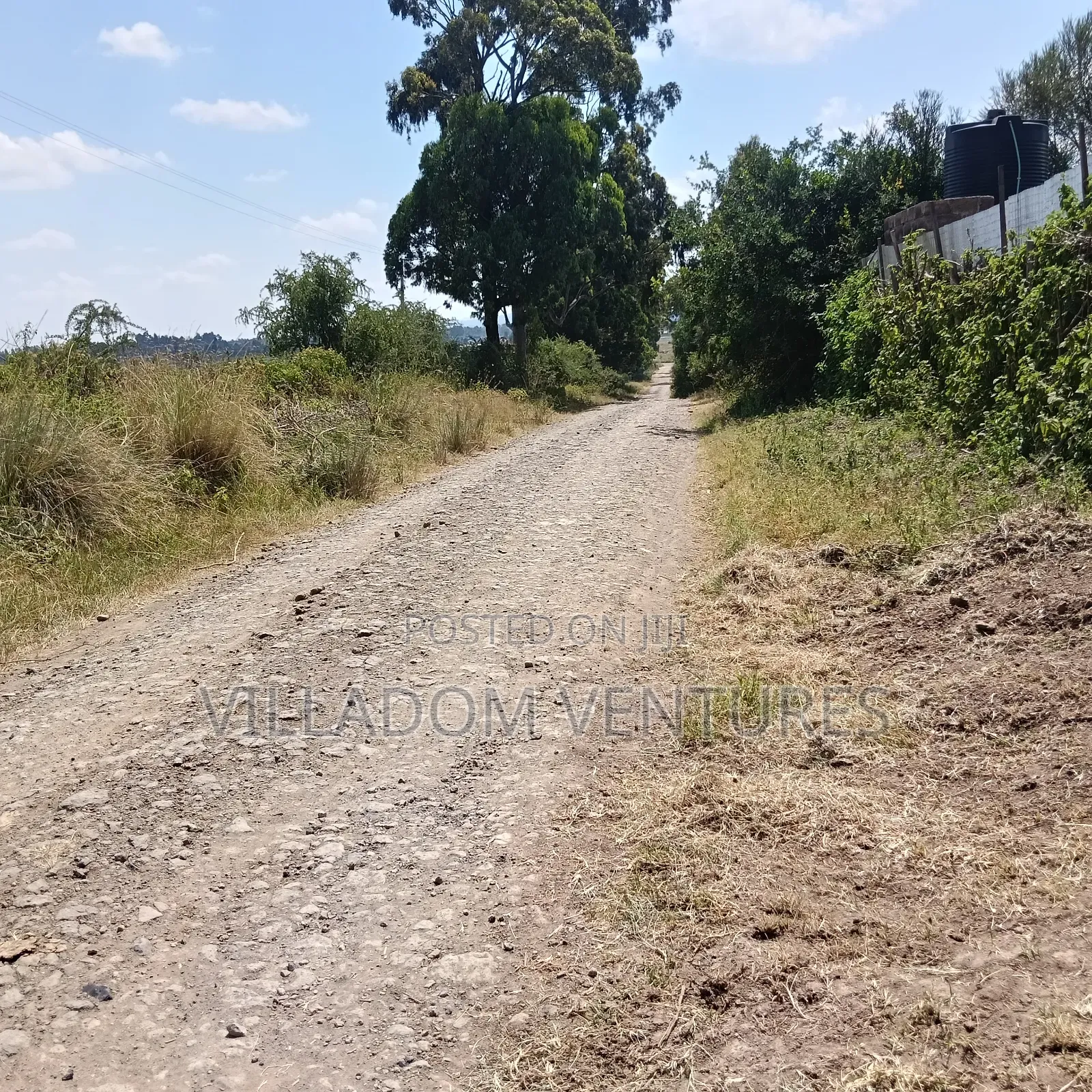 For Sale 32 Acres Near Greensteds School