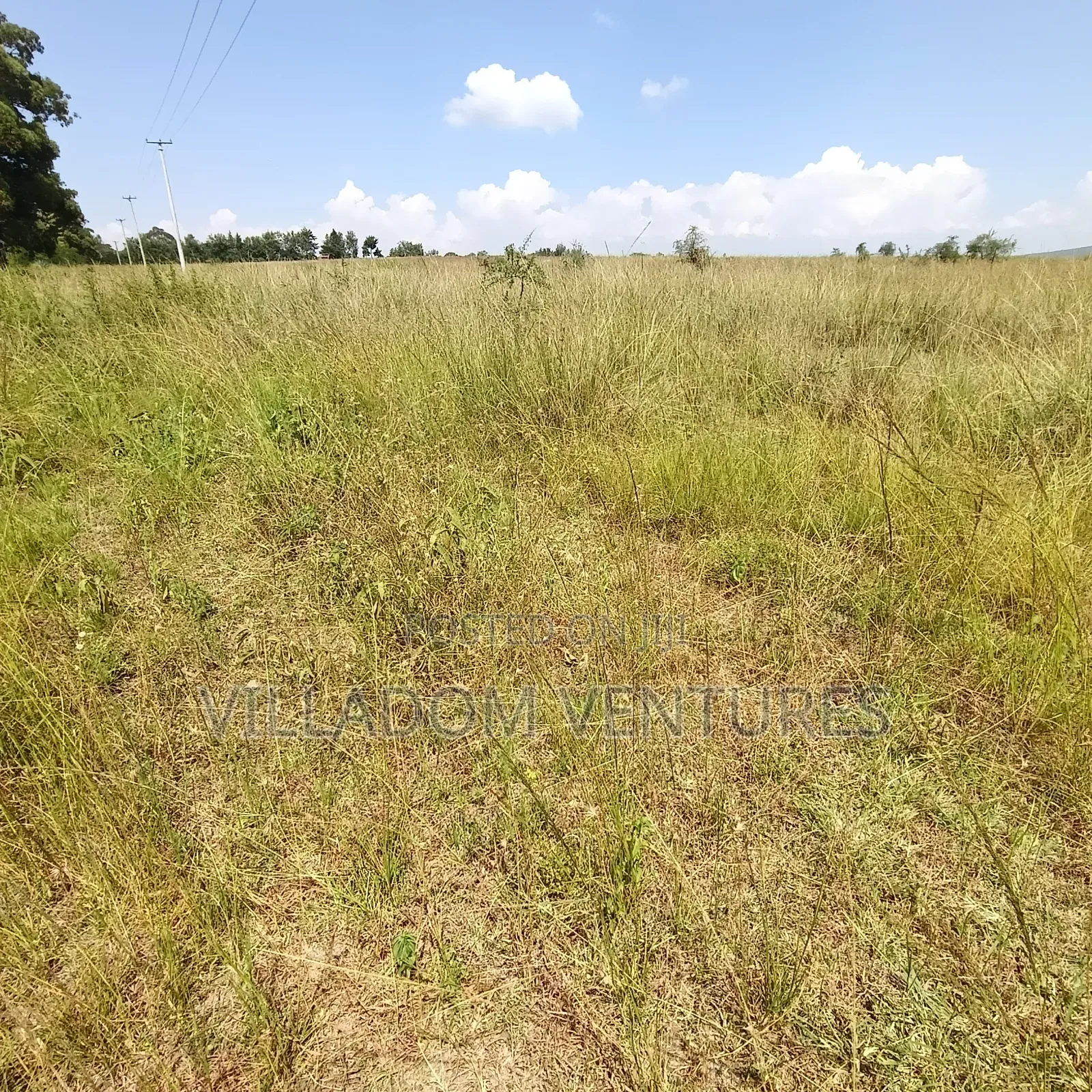 For Sale 32 Acres Near Greensteds School