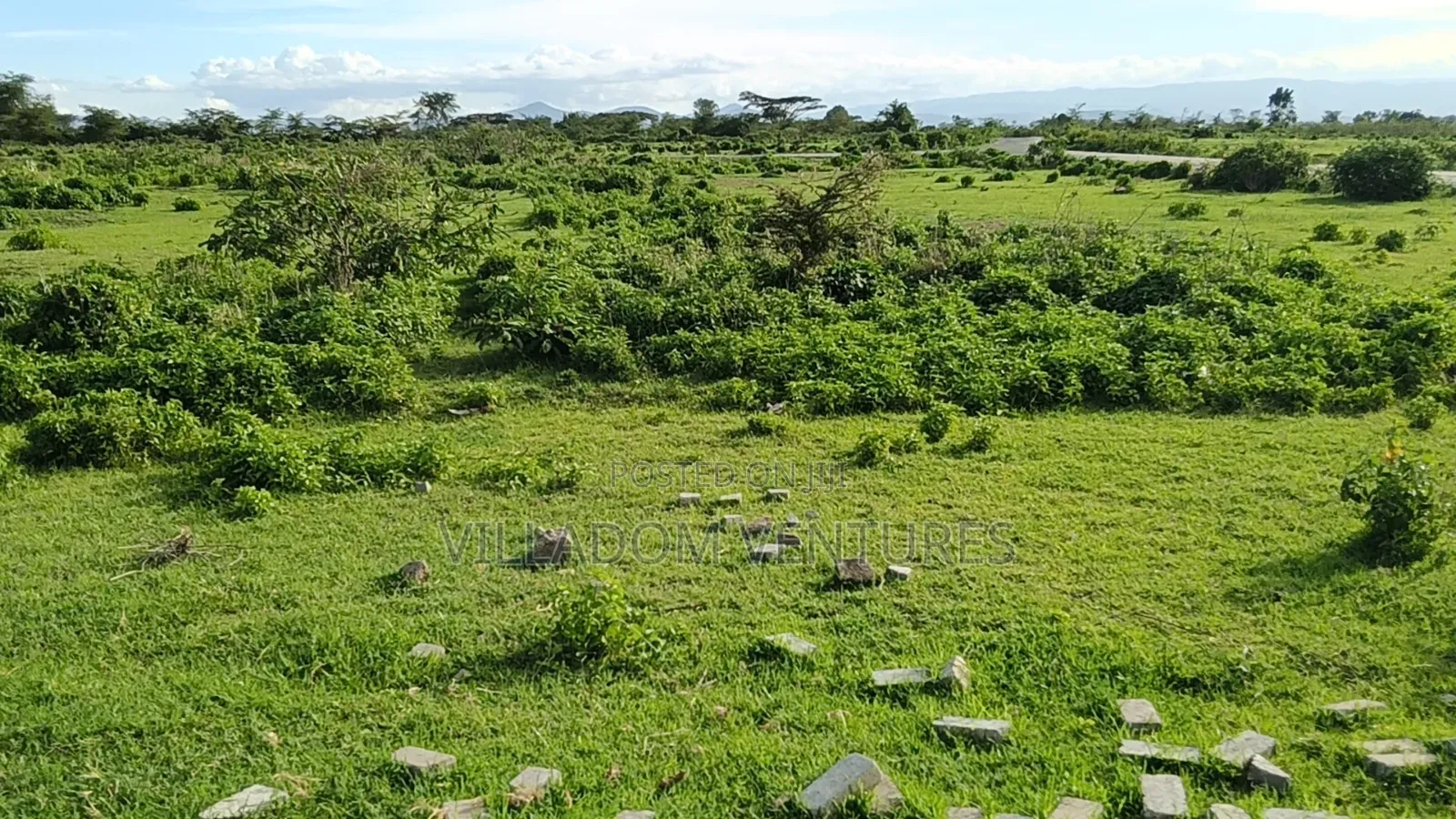 For Quick Sale Several 50/100 Plots in Newvasha in Naivasha