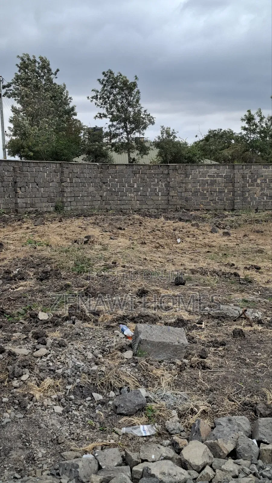 Perimeter Wall Plots in Jujafarm Jr