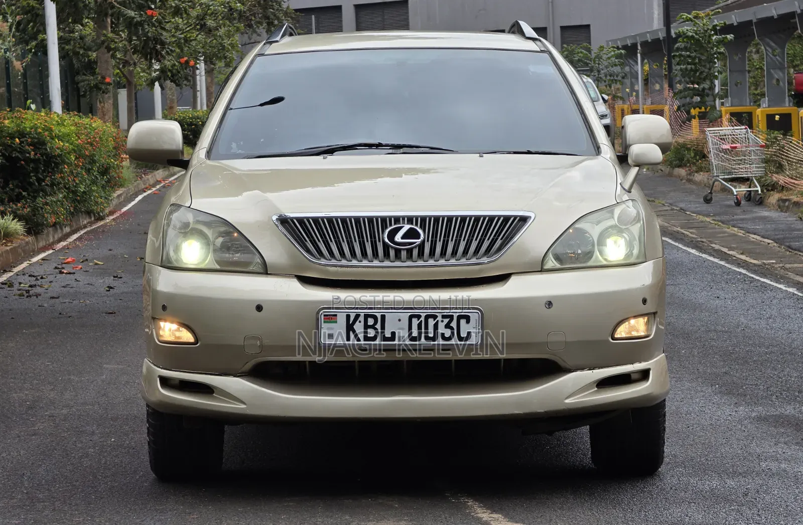 Lexus RX 2003 Gold