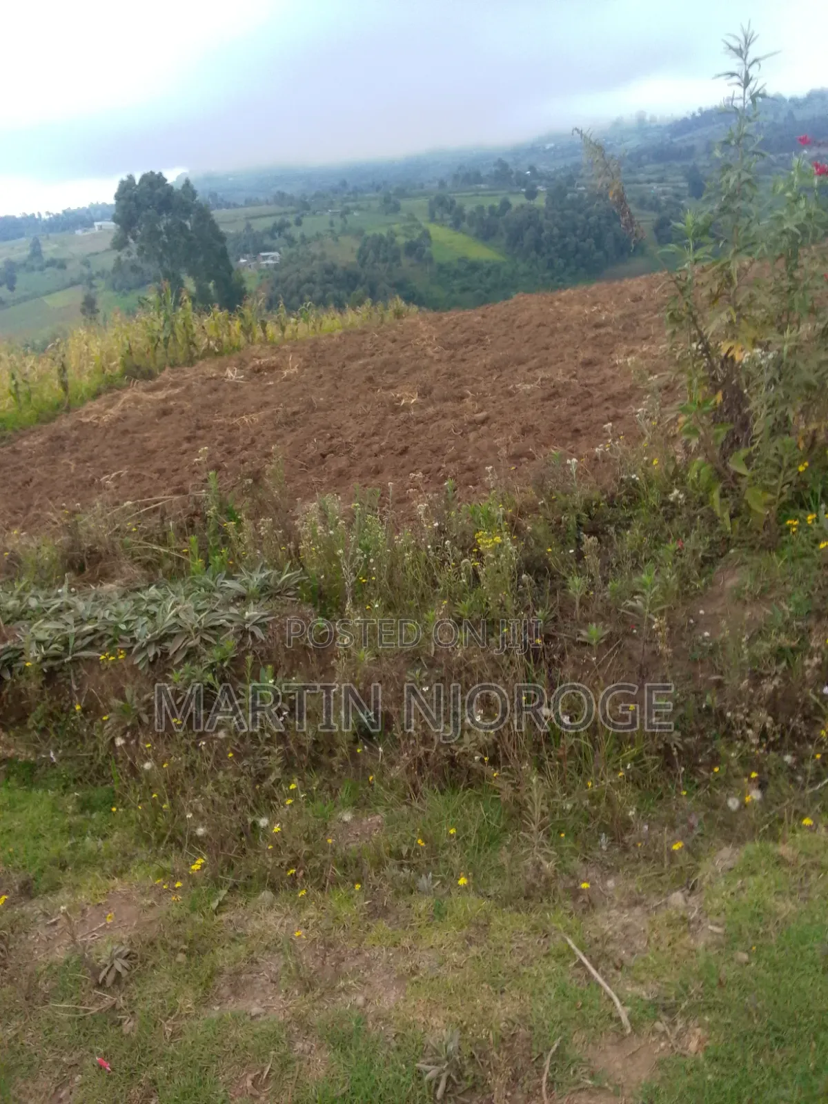 2 Acres Fryover