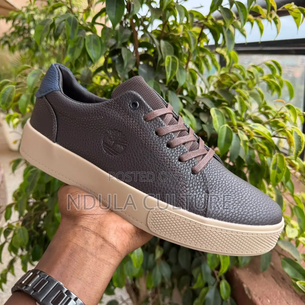 Brand New Timberland