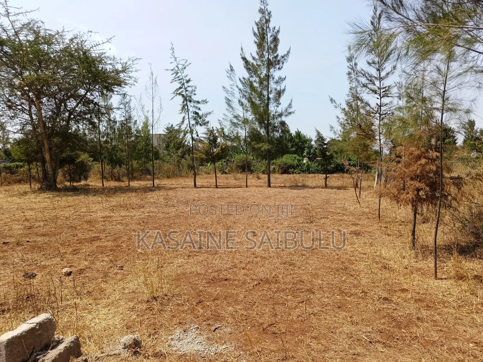8plots for Sale in Kimana Tikondo Ready Tittle Deeds