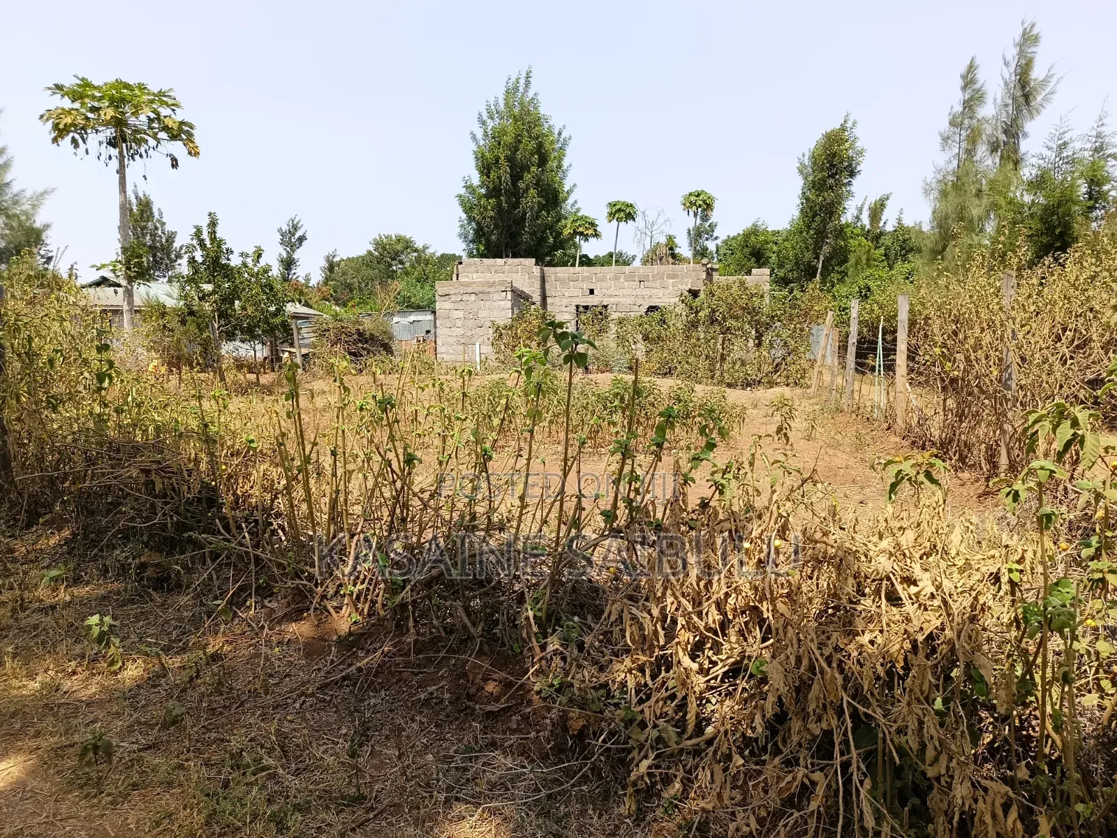 8plots for Sale in Kimana Tikondo Ready Tittle Deeds