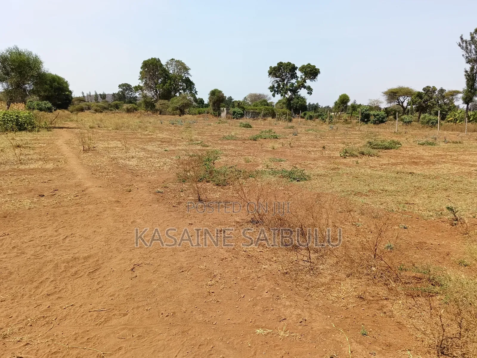 8plots for Sale in Kimana Tikondo Ready Tittle Deeds