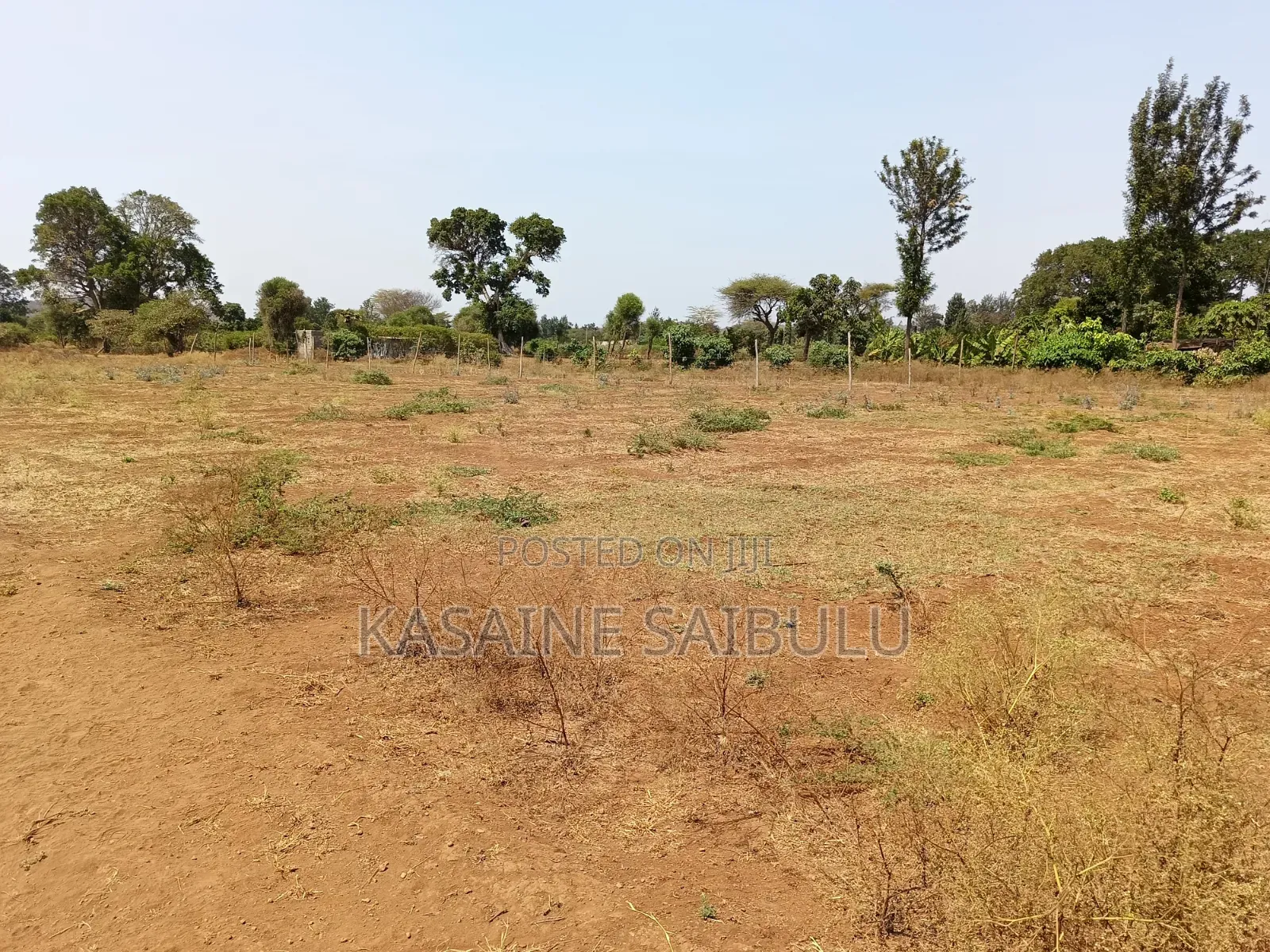8plots for Sale in Kimana Tikondo Ready Tittle Deeds