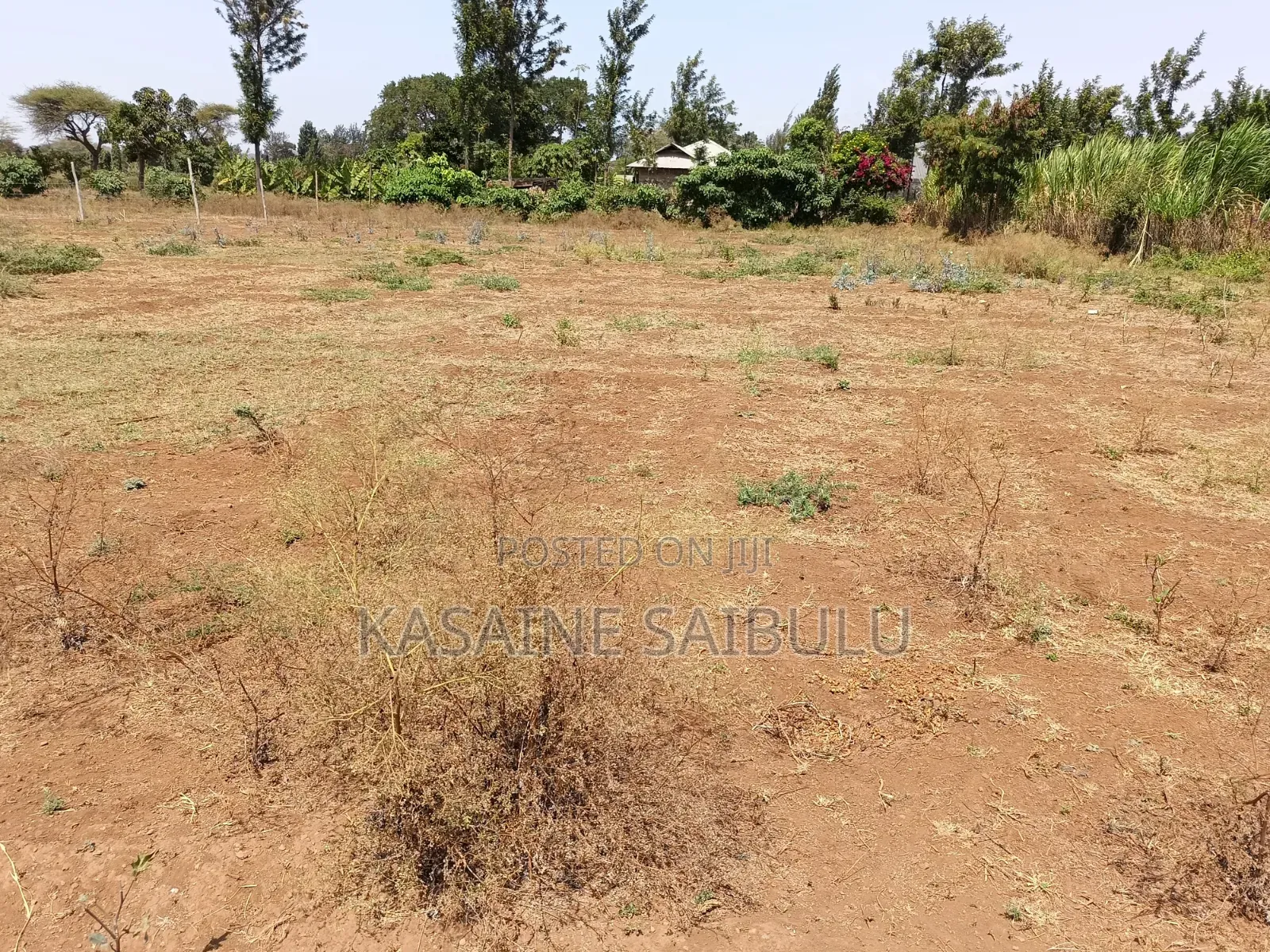 8plots for Sale in Kimana Tikondo Ready Tittle Deeds